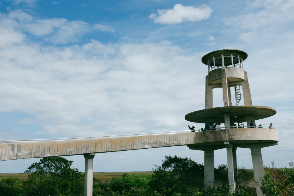 Shark Valley Observation Tower