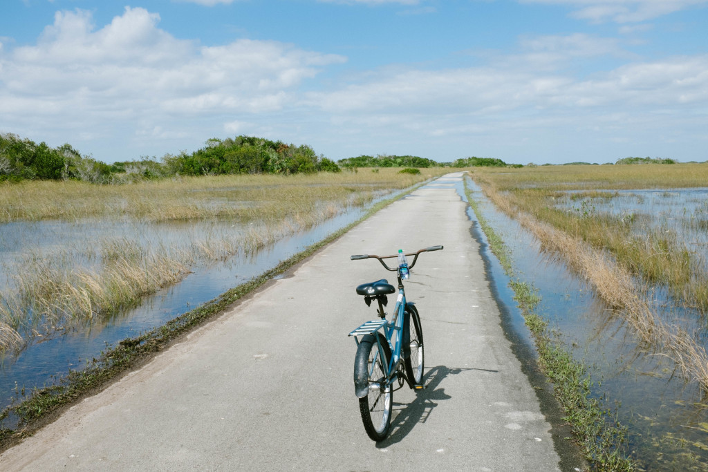 Shark Valley Trail