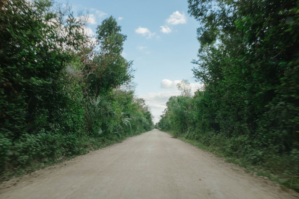 Big Cypress National Preserve