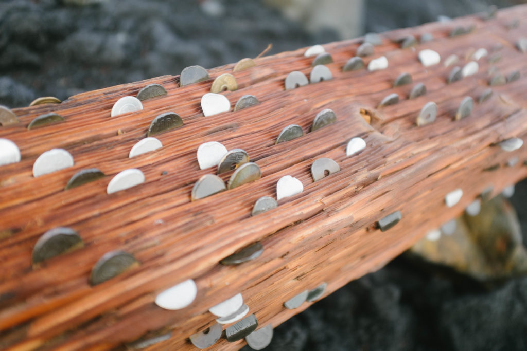 Coins at the summit of Mt. Fuji.