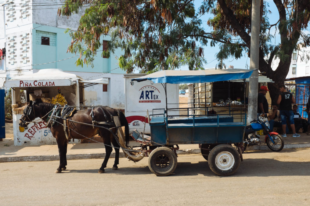 Horse drawn cart in Trinidad