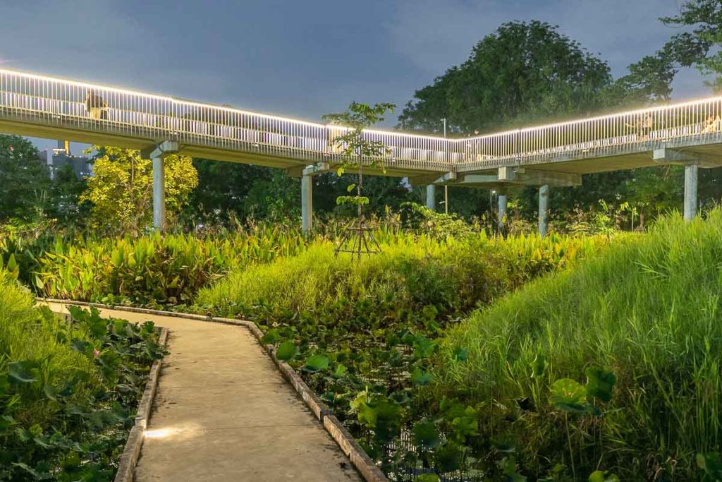 Benjakitti Park Elevated Walkway at Night.