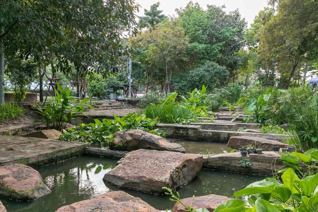 Chulalongkorn University Centenary Park Wetlands