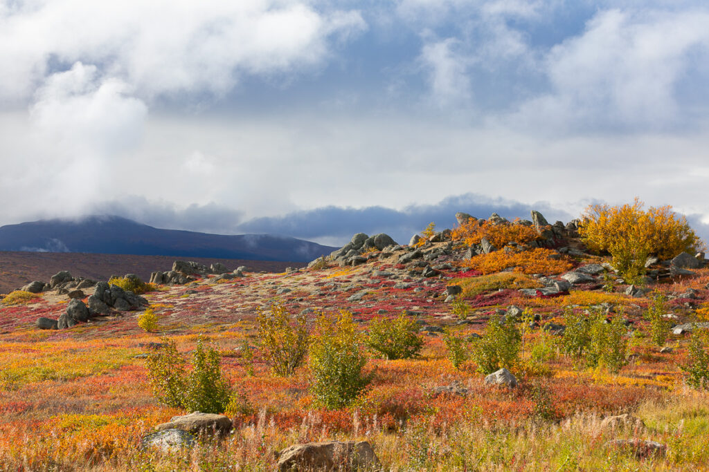 The Dalton Highway