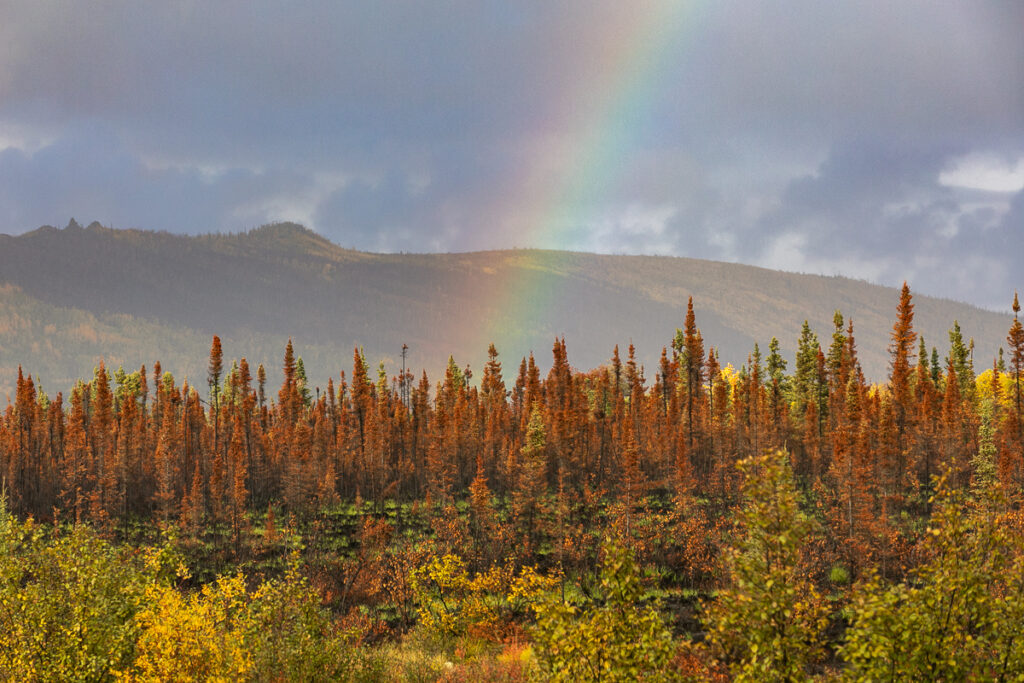 The Dalton Highway