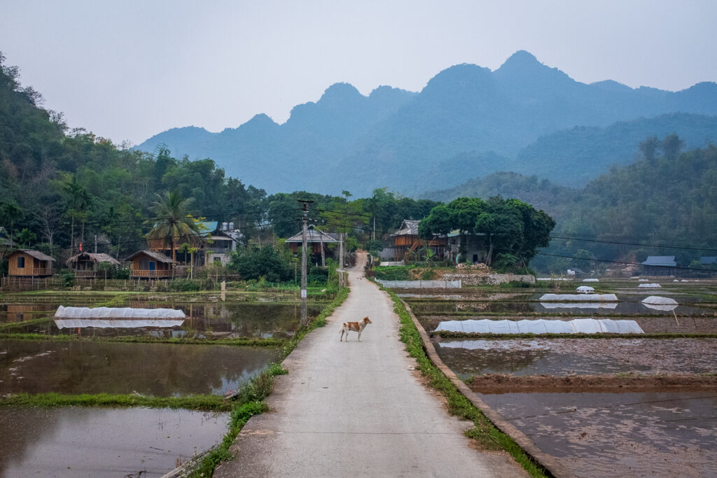 Exploring Vietnam's Ho Chi Minh Road by Motorbike